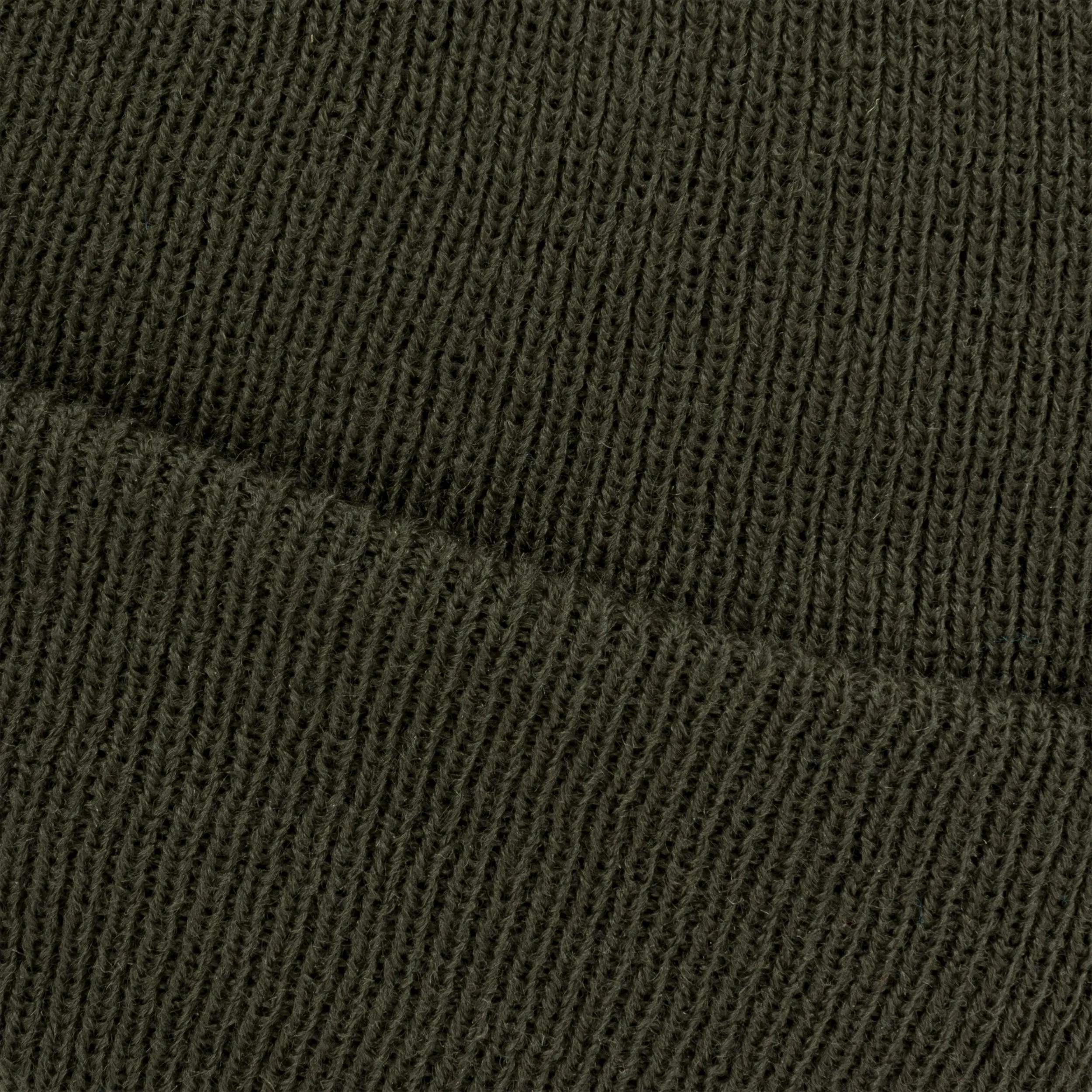 Thinsulate Watch Hat
